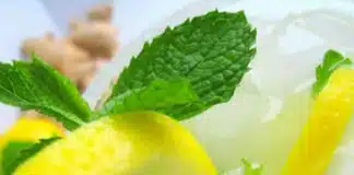 Limonade à la menthe au thermomix