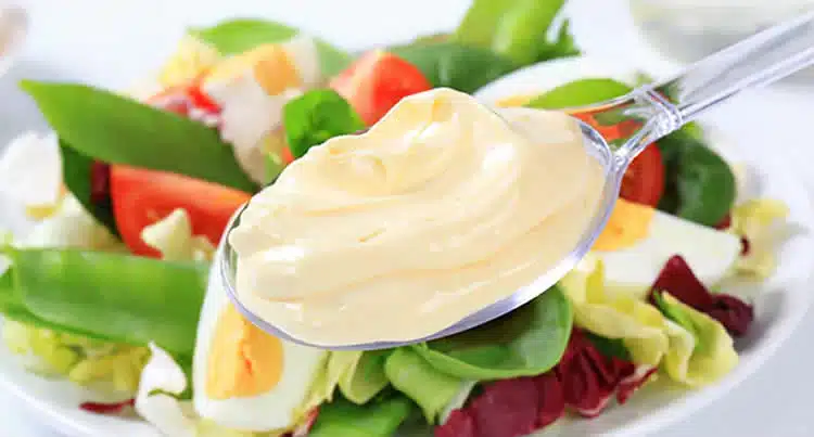 Mayonnaise maison facile au thermomix