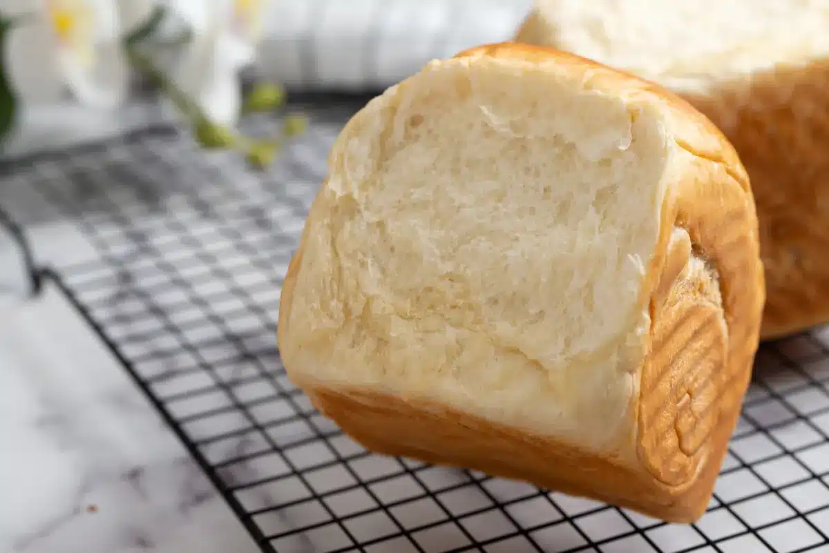 Tout savoir sur la brioche